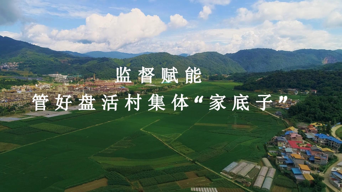 监督赋能 管好盘活村集体“家底子”